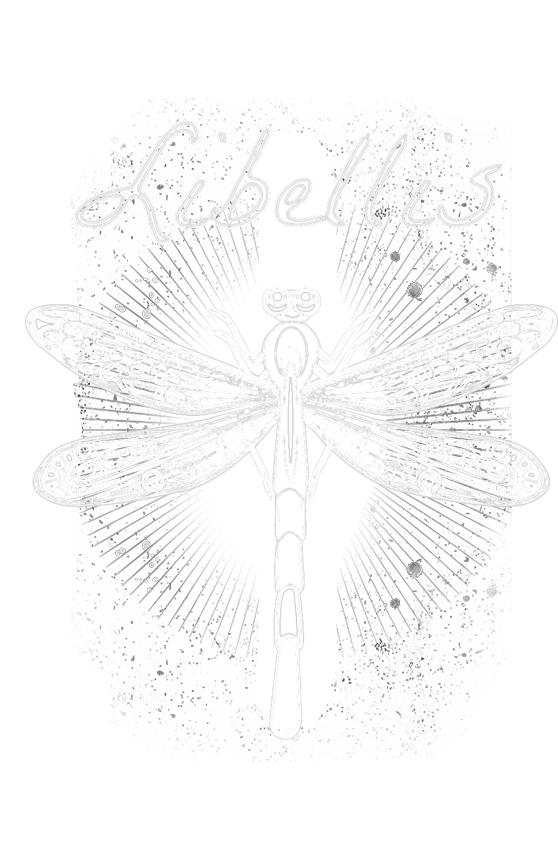 logo_libellis